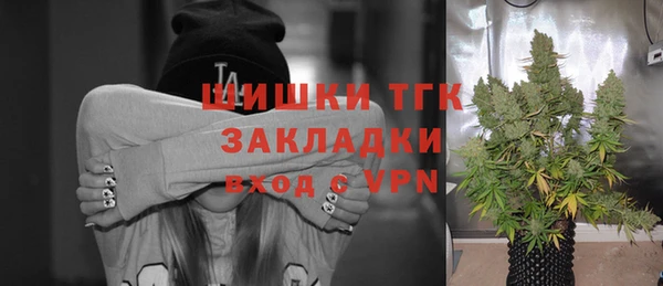 молекула духа Краснослободск