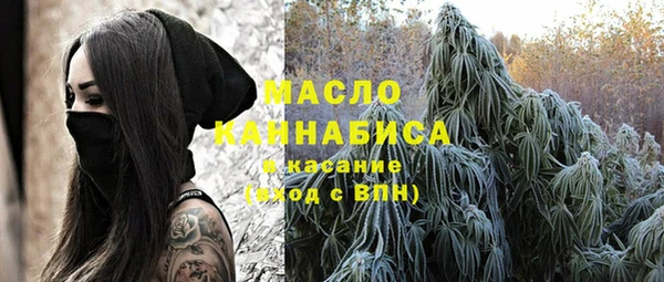 молекула духа Краснослободск