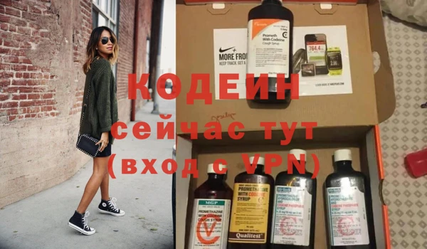 молекула духа Краснослободск