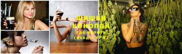 молекула духа Краснослободск
